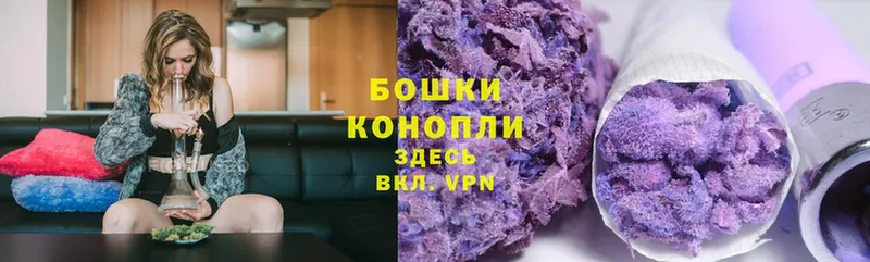 Каннабис SATIVA & INDICA  Камышин 